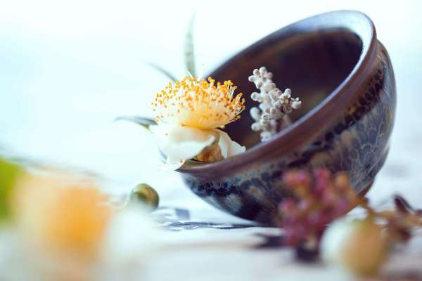 凈水器有了一個新名字:“綠色家電”