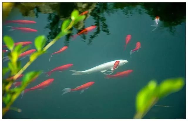 金利源，金利源凈水器，凈水器品牌，家用凈水器品牌，凈水器十大品牌，凈水器代理，凈水器加盟，凈水器廠家，凈水機(jī)，家用凈水器