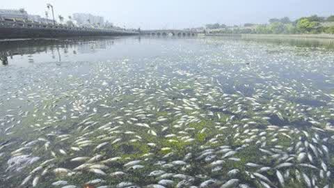 金利源,金利源凈水器,凈水器品牌,家用凈水器品牌,凈水器十大品牌,凈水器代理,凈水器加盟,凈水器廠家,凈水機,家用凈水器